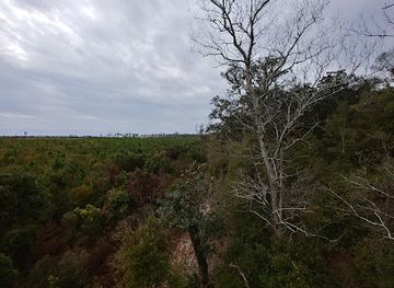 alabama/orange-beach/landmark/hugh-s-branyon-backcountry-trail-cotton-bayou-trailhead