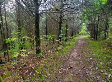 kentucky/outer-bluegrass/landmark/morgan-conservation-park