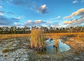 florida/everglades-national-park/landmark/hm69-nike-missile-base