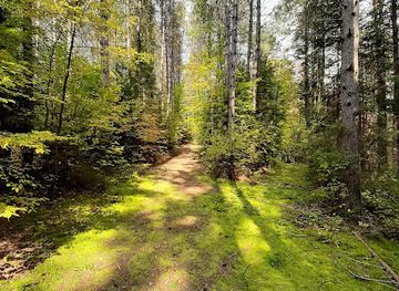 canada/haliburton-highlands/landmark/dahl-forest