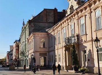 slovakia/kosice/landmark/vojtech-loffler-museum