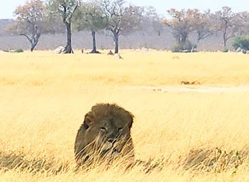 zimbabwe/hwange/landmark/ngweshla-pan