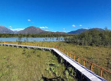 chile/aysen-region/landmark/isla-de-los-muertos