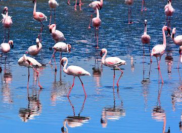 namibia/walvis-bay/landmark/sandwich-harbour-4x4-booking-and-check-in-office