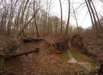 maryland/gunpowder-falls-state-park/landmark/lost-pond