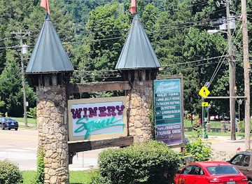 tennessee/gatlinburg/landmark/salt-pepper-shaker-museum