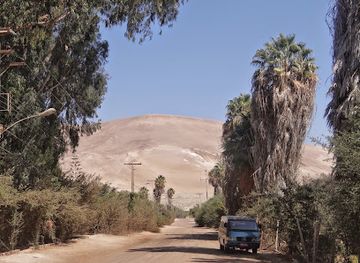 chile/arica/landmark/museoa-arqueologico-san-miguel-de-azapa
