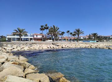 cyprus/larnaca-salt-lake/landmark/pattihio-forest-park