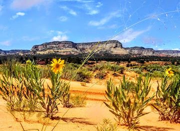 utah/kanab/landmark/windows-of-the-west-hummer-tours