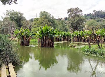 madagascar/antananarivo/isoraka/landmark/tsimbazaza-zoo-and-botanical-gardens