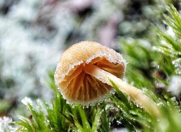 finland/turku/ruissalo/landmark/ruissalo-nature-conservation-area