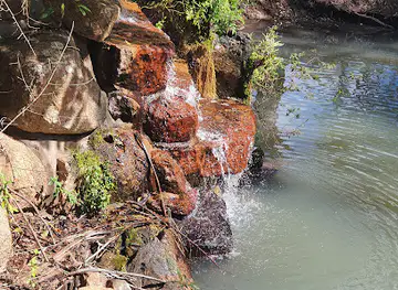 Platypus Park