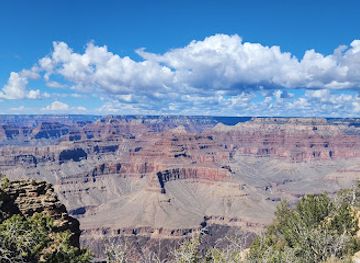 arizona/grand-canyon/landmark/kaibab-national-forest