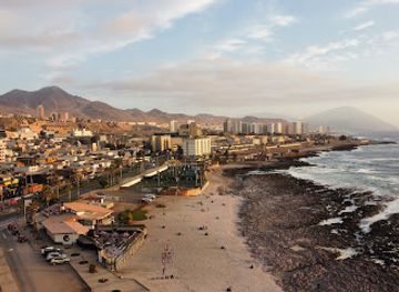 chile/antofagasta/landmark/parque-croacia