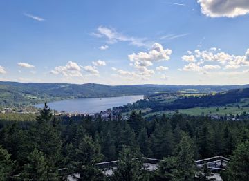 czechia/lipno-dam/landmark/kralovstvi-lesa-lipno