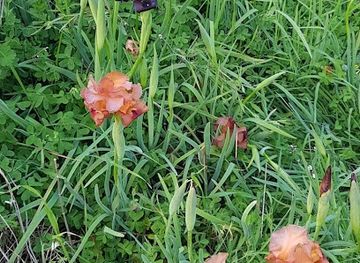 israel/central-district/landmark/sandstone-hills-national-park