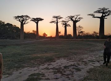 madagascar/toamasina/landmark/soul-of-madagascar-tours