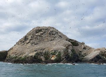 france/côte-de-granit-rose/landmark/sortie-lpo
