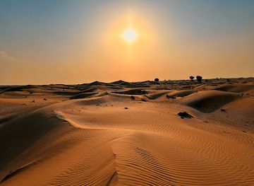 united-arab-emirates/dubai-desert-conservation-reserve/landmark/al-qudra-tours-dune-buggy-rental-atv-quad-bike-desert-safari-dubai
