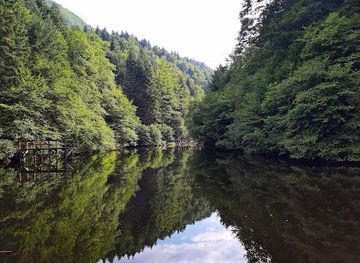 bosnia-and-herzegovina/zenica-doboj-canton/landmark/spomenik-prirode-tajan