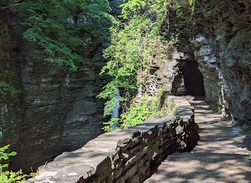 new-york/watkins-glen/landmark/watkins-glen-gorge-walk