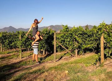 chile/colchagua-valley/landmark/vina-laura-hartwig