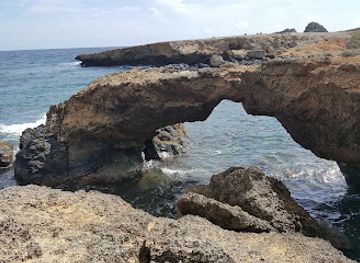aruba/arikok-national-park/landmark/donkey-sanctuary-aruba