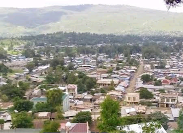 ethiopia/shewa/landmark/oda-bultum-university