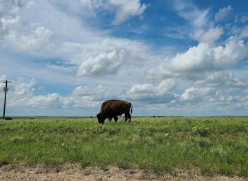 oklahoma/great-plains-country/landmark/joseph-h-williams-tallgrass-prairie-preserve