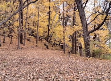 minnesota/winona/landmark/holzinger-lodge