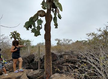 ecuador/galapagos-islands/landmark/galapagos-deli