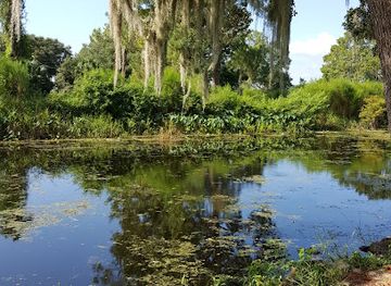 florida/juniper-springs-recreation-area/landmark/marjorie-kinnan-rawlings-historic-state-park
