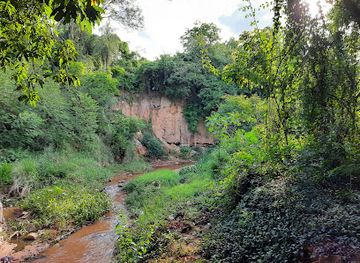 paraguay/southern-paraguay/landmark/jaguarete-kua