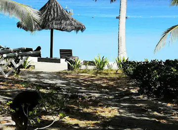 Turtle Point