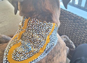 australia/port-douglas/landmark/ngarru-gallery