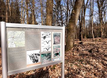 germany/palatinate/landmark/anti-tank-trench-wwii