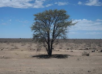 namibia/namib-desert/landmark/kuiseb-river