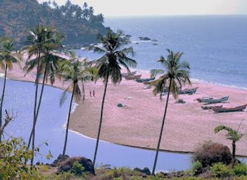 india/goa-beaches/landmark/mandrem-beach