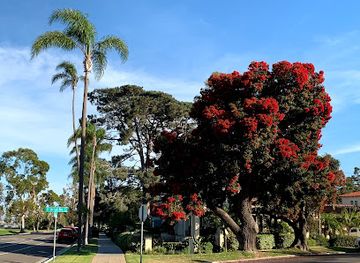california/coronado/landmark/the-neil-adams-historic-house