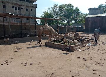 togo/agbodrafo/landmark/fauna-cultura