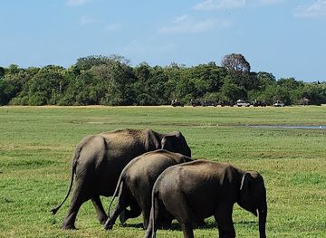 sri-lanka/cultural-triangle/landmark/kaudulla-national-park
