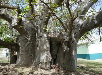 barbados/saint-michael/landmark/queen-s-park