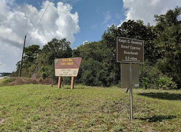florida/big-bend/landmark/tate-s-hell-state-forest