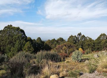 australia/eastern-victoria/landmark/william-ricketts-sanctuary