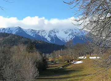 Burgruine Puchberg