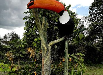 ecuador/santo-domingo-de-los-tsachilas-region/landmark/zoologico-la-isla-del-tapir