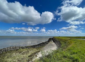 netherlands/texel-island/landmark/zandkes-natuurmonumenten