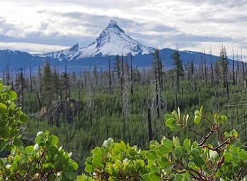 oregon/cascade-mountains/landmark/mt-washington
