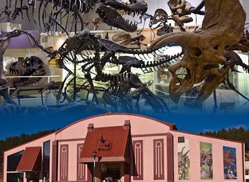 south-dakota/black-hills-national-forest/landmark/museum-black-hills-institute