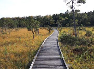 latvia/slitere-national-park/landmark/sliteres-dabas-taka